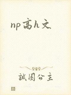 np高h文封面