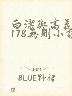 白洁与高义1～178无删小说