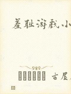 羞耻游戏小说
