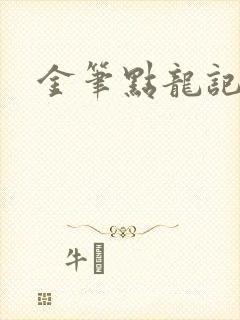 金笔点龙记封面