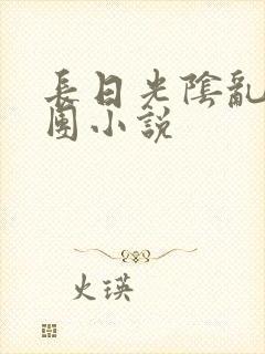 长日光阴乱作一团小说封面