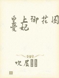 皇上御花园中要爱妃封面