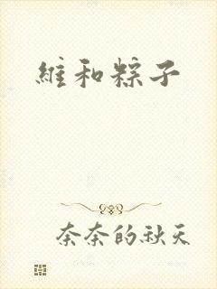 维和粽子