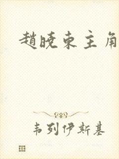 赵晓东主角小说