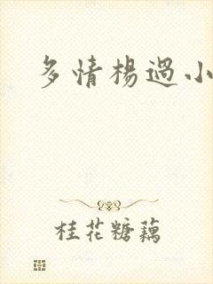 多情杨过小说