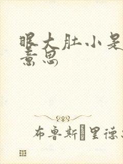 眼大肚小是什么意思封面