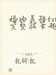 婚内义务txt完整版笔趣阁封面