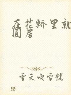 在花轿里就开始圆房