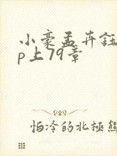 小豪孟卉钰慧三p上79章