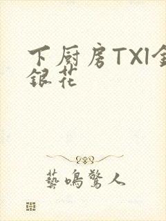 下厨房TXl金银花
