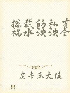 总裁的私有宝贝祸水泱泱全文阅读