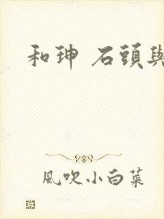 和珅 石头与水