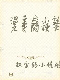 温柔瘾小说全文免费阅读笔趣阁封面
