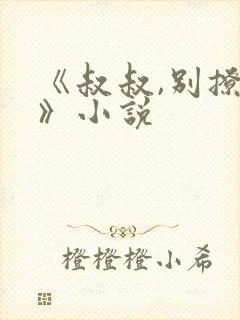 《叔叔,别撩我》小说封面
