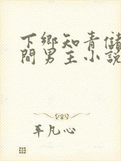 下乡知青储物空间男主小说