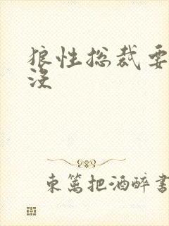 狼性总裁要够了没