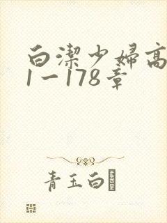 白洁少妇高义第1一178章