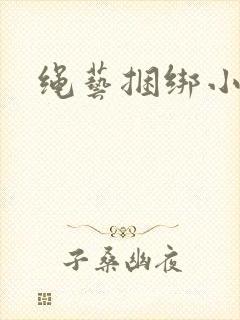 绳艺捆绑小说