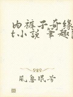 内裤子奇缘txt小说 笔趣阁