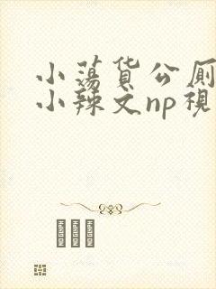 小荡货公厕h文小辣文np视频