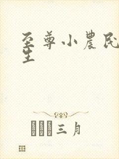 至尊小农民王木生