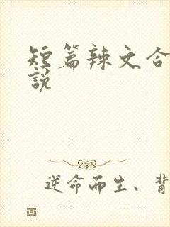 短篇辣文合集小说