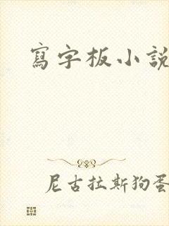 写字板小说
