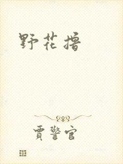 野花撸封面