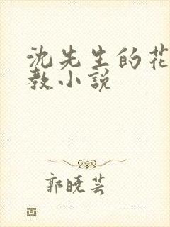 沈先生的花式调教小说封面