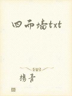 四面墙txt
