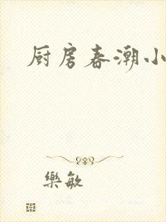 厨房春潮小说封面