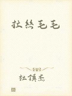 拉丝毛毛