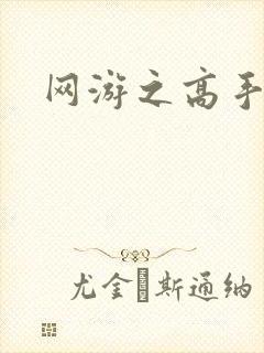 网游之高手寂寞