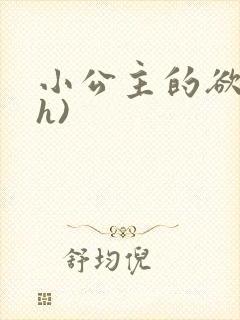 小公主的欲奴(h)
