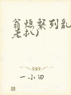 翁熄系列乱 (老扒)