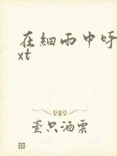 在细雨中呼喊txt