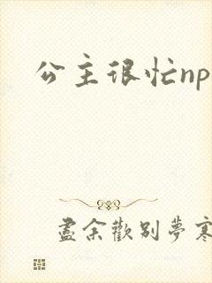 公主很忙npc