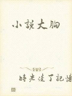 小说大胸