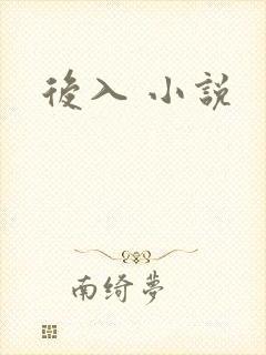 后入 小说