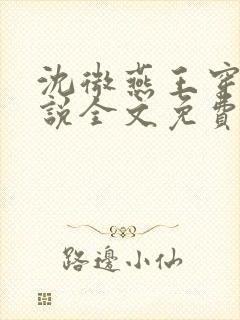 沈微燕王穿越小说全文免费阅读