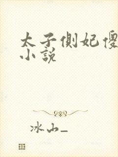 太子侧妃傻乎乎小说