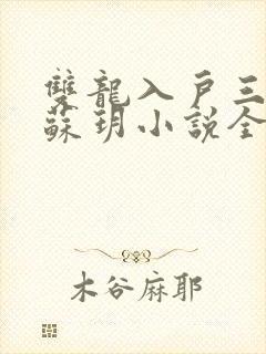 双龙入户三人行苏玥小说全文阅读