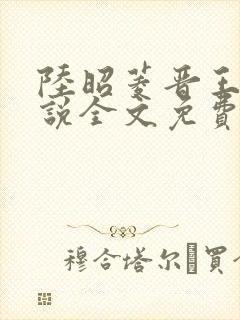 陆昭菱晋王的小说全文免费阅读