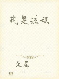我是流氓封面