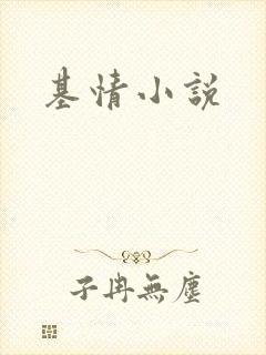 基情小说