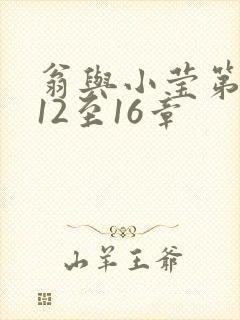翁与小莹第十部12至16章封面