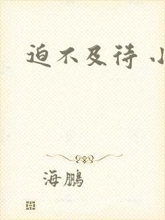 迫不及待 小穴