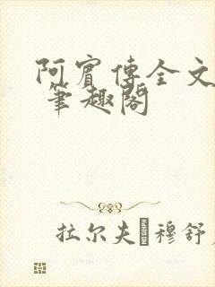 阿宾传全文阅读 笔趣阁