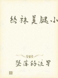 丝袜美腿小说