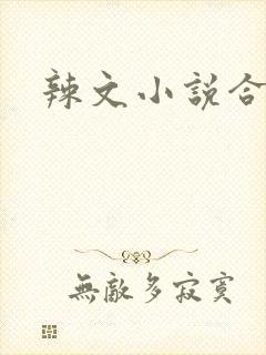 辣文小说合集封面